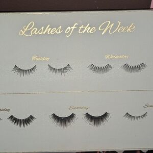 Lashes of the Week Set - Black paint on canvas Types of Lashes great for Salon